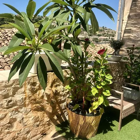 L'orto Di Santa Chiara Apartment