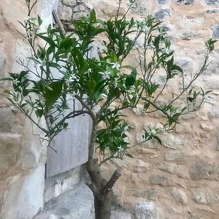 L'orto Di Santa Chiara Appartamento